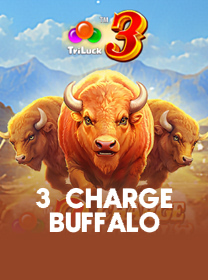 aaq-3-Charge-Buffalo